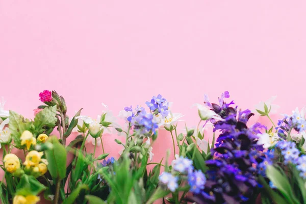 ピンクの紙の背景に野生の花のカラフルな境界線は テキストのためのスペースとフラットレイアウト 春の花を咲かせ 花のグリーティングカードテンプレート 幸せな母の日の概念 こんにちは春 — ストック写真