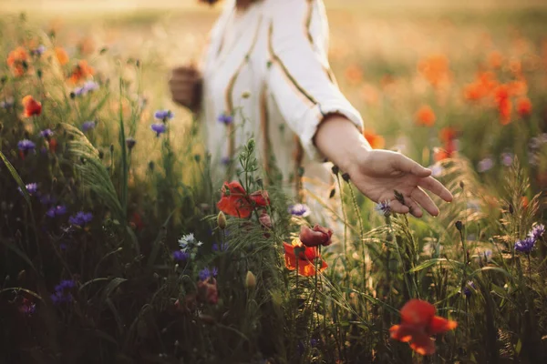 Žena Rustikálních Šatech Sbírá Mák Divoké Květiny Při Západu Slunce — Stock fotografie