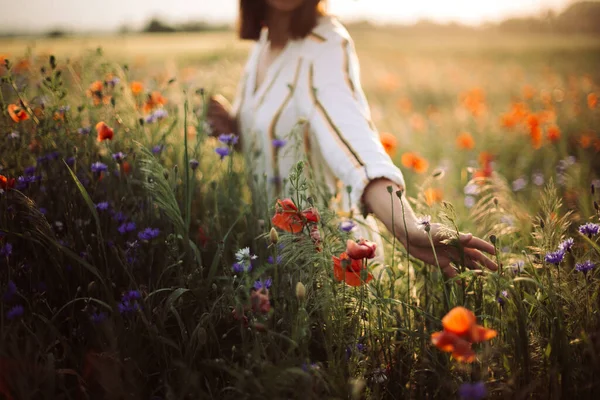 Vrouw Rustieke Jurk Verzamelen Van Papaver Wilde Bloemen Bij Zonsondergang — Stockfoto