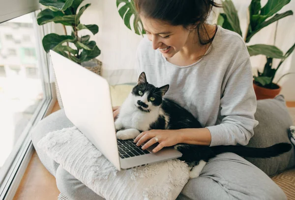 고양이와 노트북으로 일하고 현대적 방에서 베개와 식물들 일하는 사무실 노트북을 — 스톡 사진