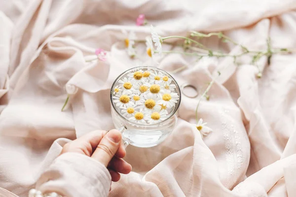 Tazza Vetro Con Fiori Margherita Acqua Sfondo Morbido Tessuto Beige — Foto Stock