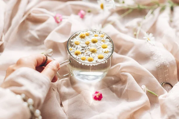 Hand Holding Glass Cup Daisy Flowers Water Background Soft Beige — Stock Photo, Image