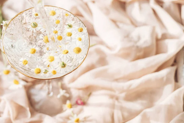 Gießen Wasser Mit Gänseblümchen Blumen Modernen Weinglas Auf Dem Hintergrund — Stockfoto