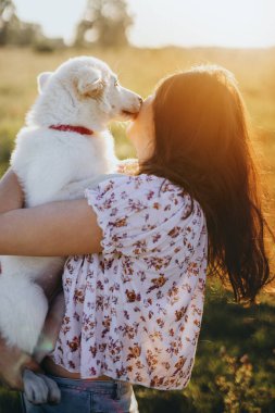Şirin pofuduk yavru köpek öpen kız. Güzel atmosferik bir an. Tarz sahibi genç bir kadın yaz otlağında gün batımında sevimli beyaz bir köpeğe sarılıyor. Evlat edinme kavramı