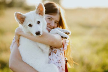 Mutlu genç bir kadın yaz otlağında gün batımında sevimli beyaz bir köpeğe sarılıyor. Mutlu kız sevimli pofuduk köpek yavrusunu tutuyor. Güzel atmosferik bir an. Evlat edinme kavramı.