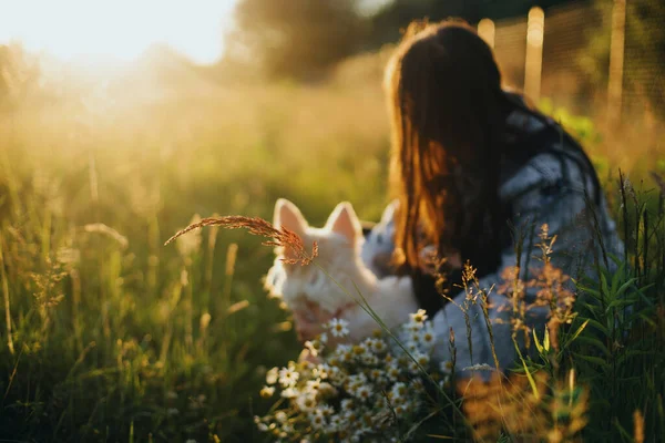 夏日的草地上 草木和青草在温暖的夕阳余晖中 映衬着朦胧的白色小狗和时尚的少女 点缀着雏菊花 收养概念 复制空间 — 图库照片