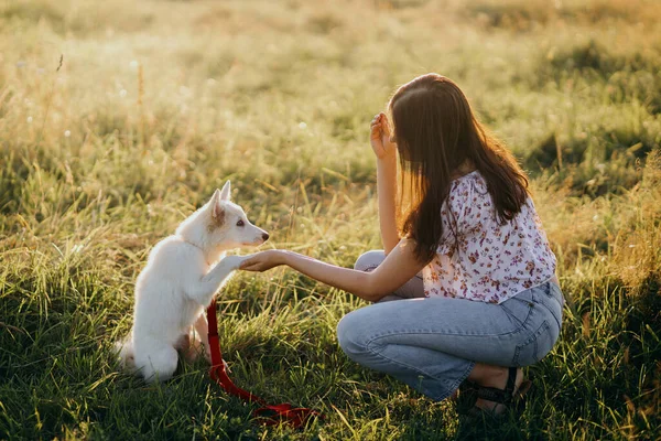 Liebenswert Flauschiger Welpe Der Besitzerin Pfote Gibt Und Leckereien Hat — Stockfoto