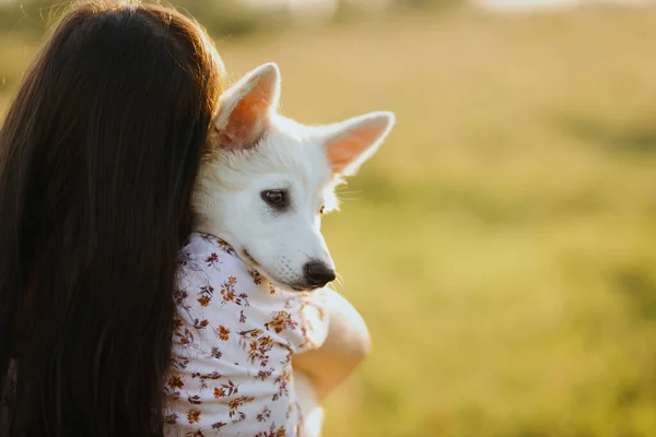 Mujer Abrazando Lindo Cachorro Blanco Luz Cálida Puesta Del Sol — Foto de Stock