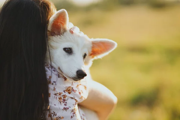 Donna Che Abbraccia Accarezza Simpatico Cucciolo Bianco Calda Luce Del — Foto Stock