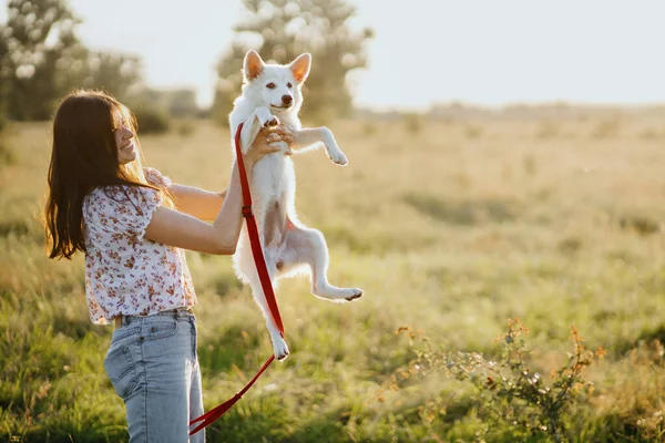 Mujer Joven Feliz Sosteniendo Lindo Cachorro Blanco Luz Cálida Puesta — Foto de Stock