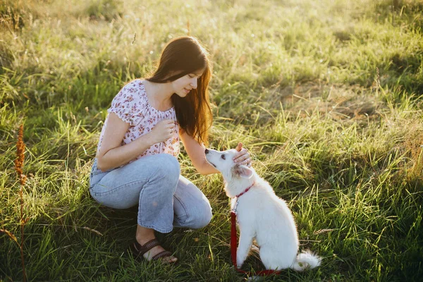 一个女人在温暖的夕阳西下训练可爱的小白狗 在夏日的草地上爱抚它 可爱的绒毛小狗看着女孩的主人 忠心的朋友 — 图库照片