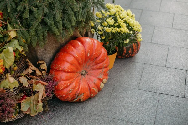 Abóboras Flores Outono Decoração Festiva Moderna Rua Europeia Cidade Decoração — Fotografia de Stock