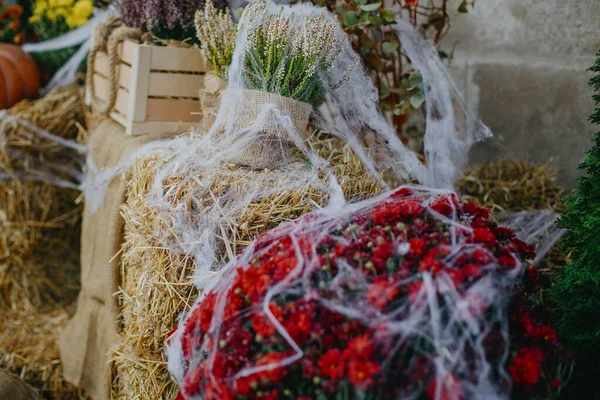 Autumn Flowers Cobweb Hay Bale Rustic Festive Decoration European City — Stock Photo, Image