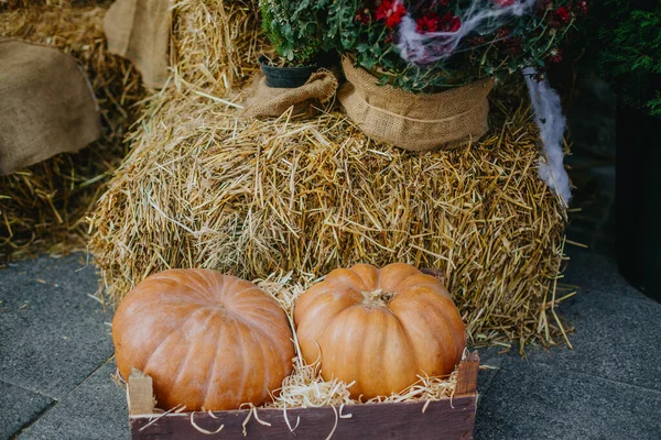 Decoración Callejera Halloween Calabazas Flores Otoño Paca Heno Decoración Festiva — Foto de Stock