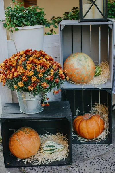 ハロウィンストリートの装飾 木製の箱にカボチャや秋の花 秋の街の素朴な現代的な装飾 ハッピーサンクスギビングとハロウィン — ストック写真