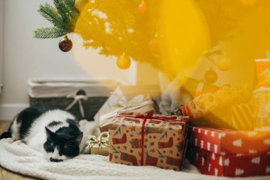 Mutlu noeller. Noel ağacının altında altın ışıklarla şık Noel hediyelerinde uyuyan sevimli bir kedi. Sevimli kedi İskandinav şenliğinde dinleniyor..