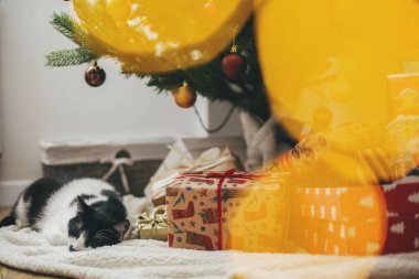 İyi tatiller. Noel ağacının altında altın ışıklarla şık Noel hediyelerinde uyuyan sevimli bir kedi. Sevimli kedi İskandinav şenliğinde dinleniyor..