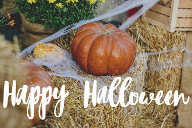 Mutlu Cadılar Bayramı tebrik kartları. Samanlıkta örümcek ağındaki bal kabaklarının arka planında el yazısı Mutlu Cadılar Bayramı metni