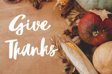 Şükran Günü tebrik kartın kutlu olsun. Kabakların, sonbahar yapraklarının, fındıkların, sebzelerin kırsal ahşap masadaki hasadı üzerine teşekkür metni.