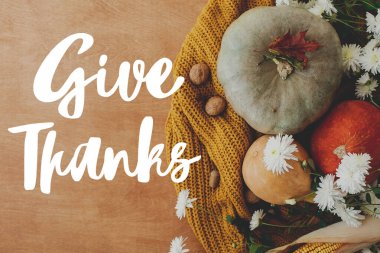 El yazısıyla balkabağı, sonbahar çiçekleri, yapraklar, sarı örülmüş kazak üzerindeki meşe palamutları, düz uzanma üzerine teşekkür mesajı. Şükran Günü tebrik kartın kutlu olsun..