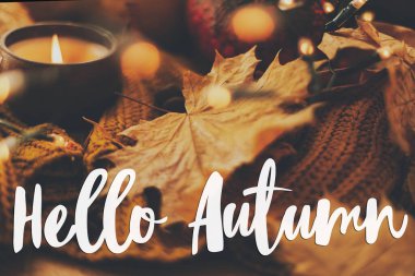 Merhaba sonbahar tebrik kartı. Balkabağı, sonbahar yaprakları, mum, sarı örülmüş süveterin üzerindeki sıcak ışıklar. Seçici odak