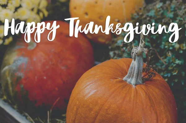 Šťastné Přání Díkůvzdání Ručně Psané Happy Thanksgiving Text Pozadí Dýní — Stock fotografie