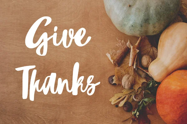 Şükran Günü tebrik kartın kutlu olsun. El yazısıyla yaz Balkabaklarının, sonbahar yapraklarının, fındıkların, kır ağaçlarında sebzelerin, düzlüklerin arka planında teşekkür metni.