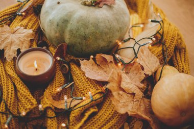 Balkabağı, sonbahar yaprakları, baharatlar ve sıcak sarı ışıklarda örülmüş sıcak süveter üzerindeki mum. Mutlu Şükran Günleri ve Cadılar Bayramı, sıcacık evimizde sonbahar tatillerini kutluyoruz.