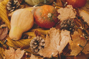 Mutlu Şükran Günleri ve Hello Fall, rahat evinizde sonbahar tatillerini kutluyorsunuz. Balkabağı, sonbahar yaprakları, baharatlar ve çam kozalakları sıcak sarı ışıklarla örülmüş sıcak süveter üzerinde.