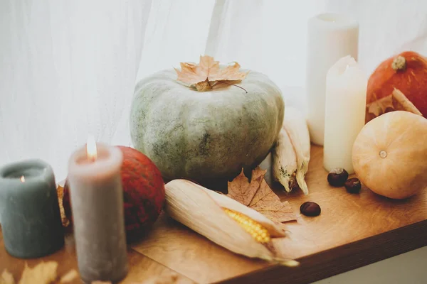 Kürbisse Herbstblätter Und Brennende Rustikale Kerzen Auf Der Hölzernen Fensterbank — Stockfoto