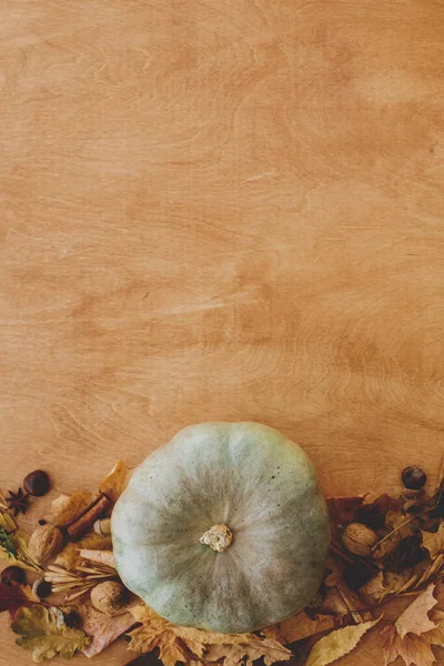 Happy Thanksgiving Flat Lay Space Text Pumpkins Autumn Leaves Nuts — Stock Photo, Image