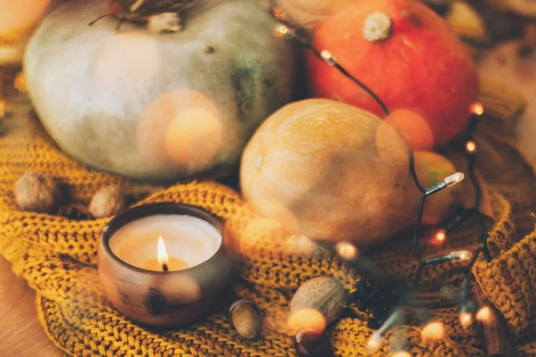 感恩节和万圣节快乐 在舒适的家庆祝秋天的假期 在温暖的黄灯下 舒适的针织毛衣上的南瓜 秋天的叶子 香料和蜡烛 — 图库照片