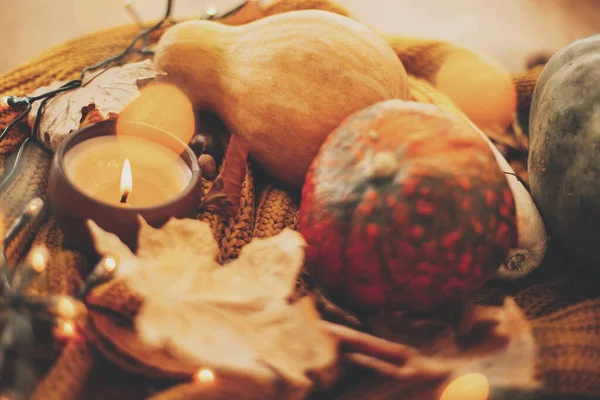 感恩节和万圣节快乐 在舒适的家庆祝秋天的假期 在温暖的黄灯下 舒适的针织毛衣上的南瓜 秋天的叶子 香料和蜡烛 — 图库照片