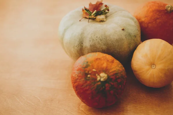 Pumpkins Осіннє Листя Сільському Дерев Яному Фоні Простором Тексту Днем — стокове фото