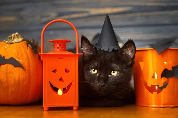 Mutlu Cadılar Bayramı Kara Kedi Balkabağı Jack Fener Kovası Kara — Stok fotoğraf