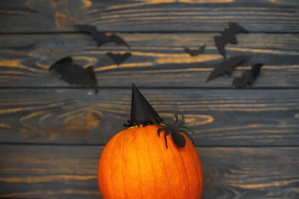 Happy Halloween Pumpkin Spider Witch Hat Dark Background Bats Handmade — Stock Photo, Image