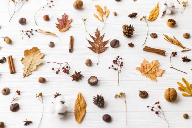 Sonbahar deseni ve doğal orman detayları. Sonbahar yaprakları, meyveler, meşe palamutları, cevizler, tarçın, anason, pamuk ve çam kozalakları beyaz arka planda.