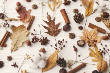 Sonbahar deseni ve doğal orman detayları. Sonbahar yaprakları, böğürtlen, meşe palamudu, ceviz, tarçın, anason, pamuk ve çam kozalakları beyaz arka planda. Merhaba sonbahar