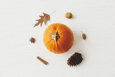 Balkabağı, sonbahar yaprağı, anason, kozalak, meşe palamudu, ceviz ve tarçın çubuğu beyaz ahşap arka planda. Minimalist sonbahar düzlüğü. Şükran Günü tebrik kartın kutlu olsun.