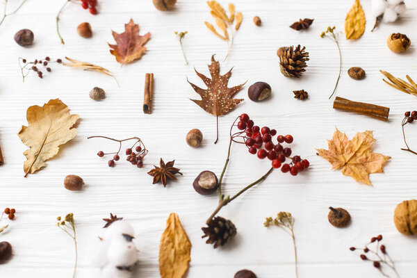 Autumnal pattern with natural forest details. Autumn leaves, berries, acorns, walnuts, cinnamon,anise , cotton and pine cones on white background. Hello Fall