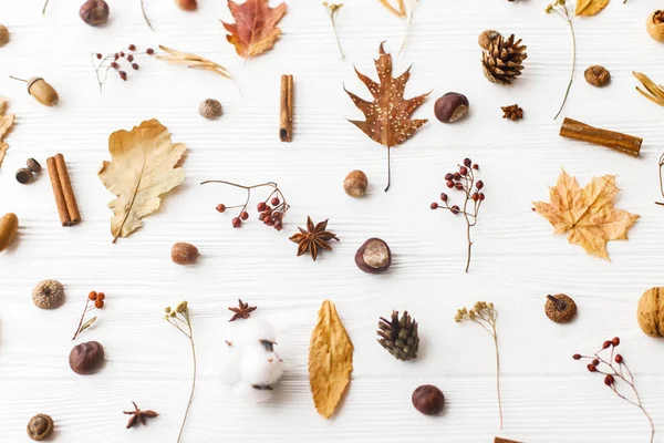 stock image Autumn flat lay. Fall leaves, berries, acorns, walnuts, cinnamon,anise , cotton and pine cones on white background. Minimalistic autumn natural pattern