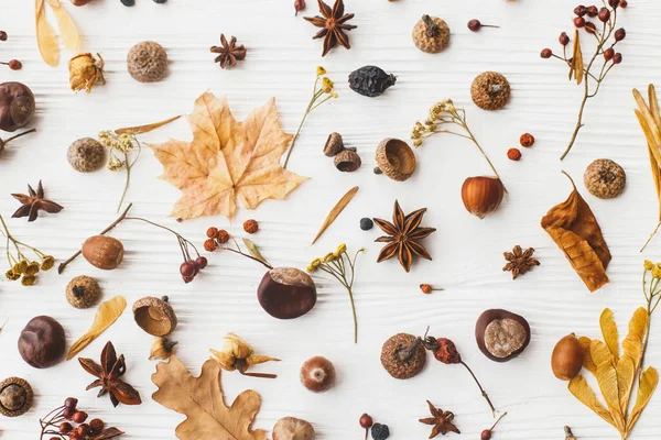 Sonbahar yatağı. Sonbahar yaprakları, böğürtlen, meşe palamudu, fındık, anason, kestane ve beyaz arka planda çiçekler. Bahçe detaylarıyla sonbahar deseni