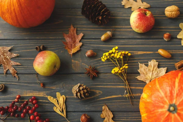 Kırsal ahşap üst görünümde sonbahar hasadı. Balkabakları, sonbahar yaprakları, elmalar, anason, kozalaklar, meşe palamutları ve koyu ahşap arka planda çiçekler. Sonbahar tebrik kartı.