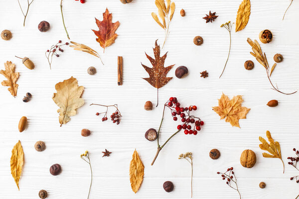 Autumnal pattern with natural forest details, flat lay. Autumn leaves, berries, acorns, walnuts, cinnamon and anise on white background. Hello Fall