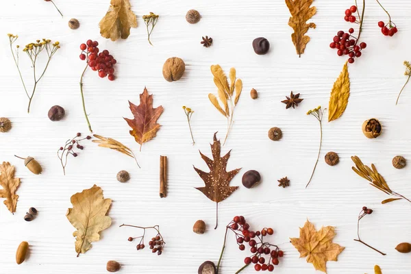 가을에는 바닥에 누웠다 찬송가 그리고 보이는 먹는다 무미건조 가을의 자연적 — 스톡 사진