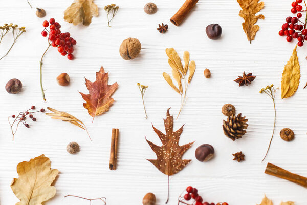 Autumn leaves, berries, acorns, walnuts, cinnamon and anise on white background. Autumnal pattern with natural forest details, flat lay. Hello Fall