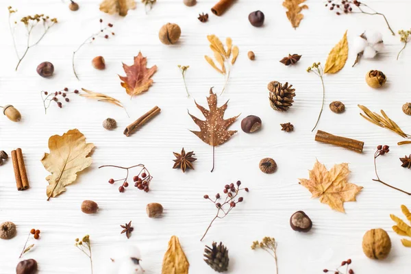 Sonbahar yatağı. Sonbahar yaprakları, meyveler, meşe palamutları, cevizler, tarçın, anason, pamuk ve çam kozalakları beyaz arka planda. Minimalist sonbahar doğal şablonu