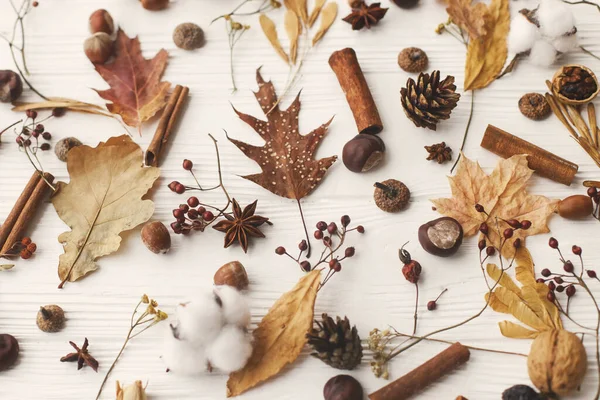 Sonbahar deseni ve doğal orman detayları. Sonbahar yaprakları, böğürtlen, meşe palamudu, ceviz, tarçın, anason, pamuk ve çam kozalakları beyaz arka planda. Merhaba sonbahar