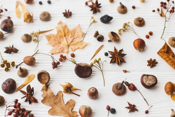 Autumnal pattern with nature garden details, flat lay. Autumn leaves, berries, acorns, nuts,anise, chestnut and flowers on white background. Hello Fall
