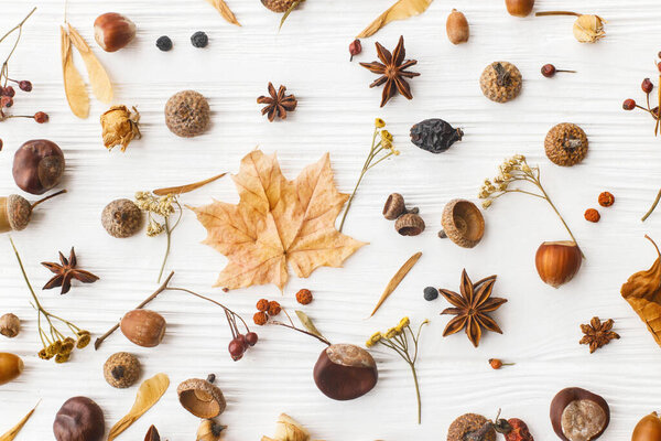 Autumnal pattern with nature garden details, flat lay. Autumn leaves, berries, acorns, nuts,anise, chestnut and flowers on white background. Hello Fall
